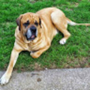 Meet your Posher, Ben